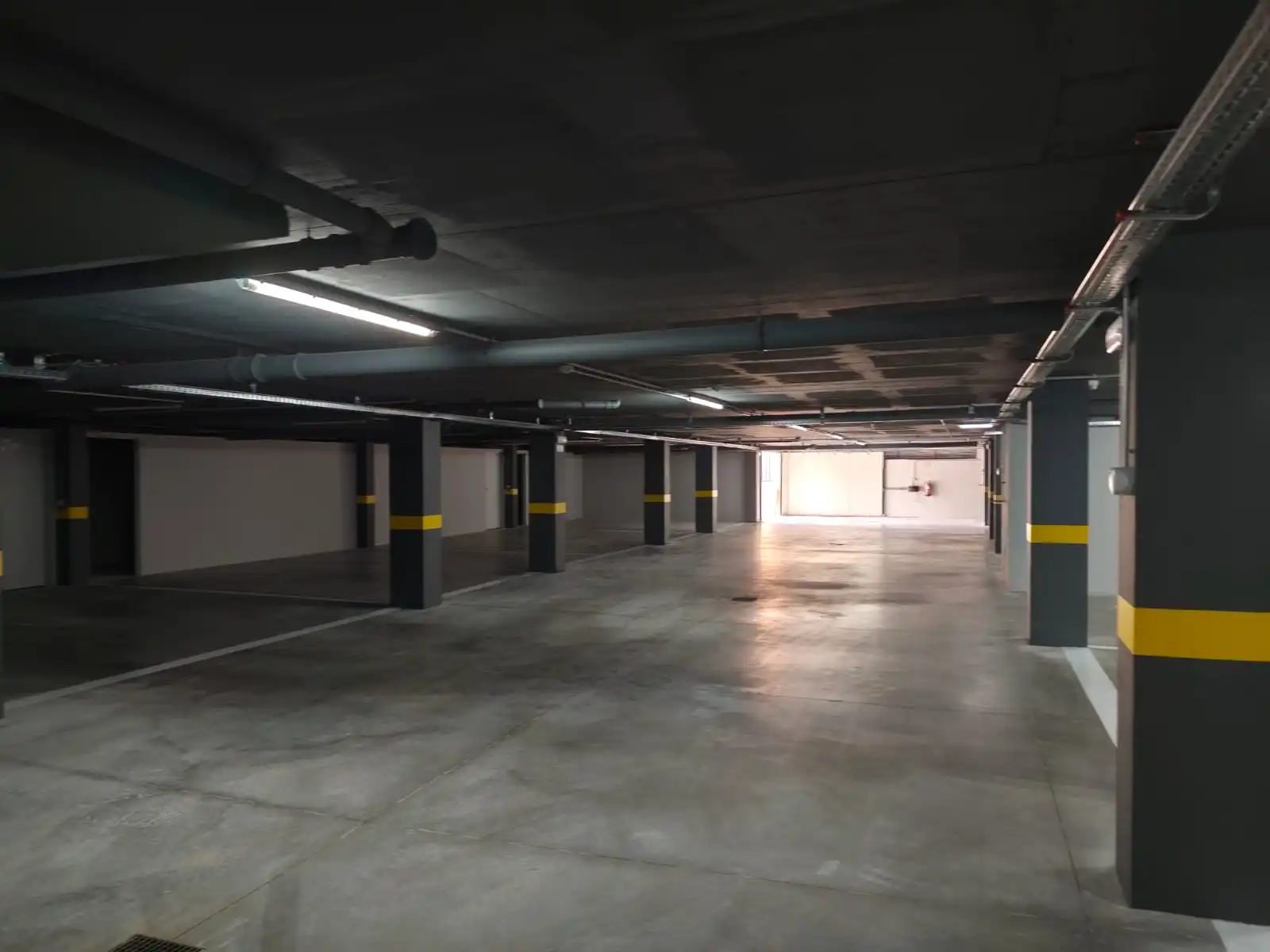 Pragas no Algarve: Como Proteger a Sua Casa e Negócio